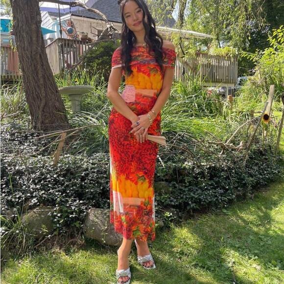 Zara Off Shoulder Dress Printed Chili Pepper Picante Bodycon Dress Small NWT - Picture 3 of 15